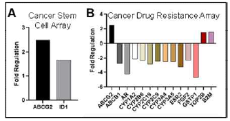 ESR1 K303R mutation에 의한 MCF-7 세포의 cancer stem cell & drug resistance signaling 변화 분석. (A-B) RT2 Profiler PCR arrays 분석.