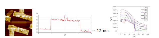 12 nm 뚜께를 가진 WS2 소자의 AFM 사진과 단면 프로파일, 온도에 따른 채널 전 류, 온도가 낮아짐에 따라, 채널 전류가 증가하는 오믹 접촉 특성을 보여준다.