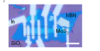 두 개의 In 전극과 MoS2 전도채널로 구성된 전계효과 트란지스터의 현미경 사진.