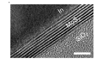 저온 기판에서 증착된 In 전극과 층상물질 계면 사이의 단면 TEM 사진. 계면 손상이 일어나지 않았음을 보여준다.