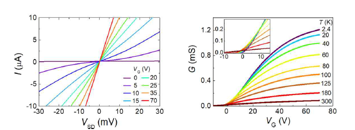 제작된 In/MoS2 전계효과 트란지스터의 전류-전압 및 게이트 전도 특성.