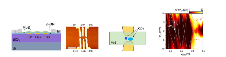 양자점 형성을 위해 h-BN 기판위에 제작된 (a) In/MoS2 전도채널과 (b) 6 개의 국 소 게이트, (c) 결함에 의해 유도된 양자점. (d) 국소게이트 조절로 인위적으로 형성된 양자점에 의한 쿨롱 다이아몬드