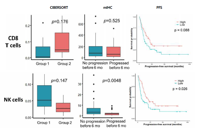 Comparison of CIBERSORT and mIHC evaluations of NK cells. Patients who did not progress before 6 months have significantly more NK cell infiltration than those who did (p = 0.0048 by mIHC). CD3−CD57+ NK cells contributed to better progression-free survival in the total cohort (p = 0.026).