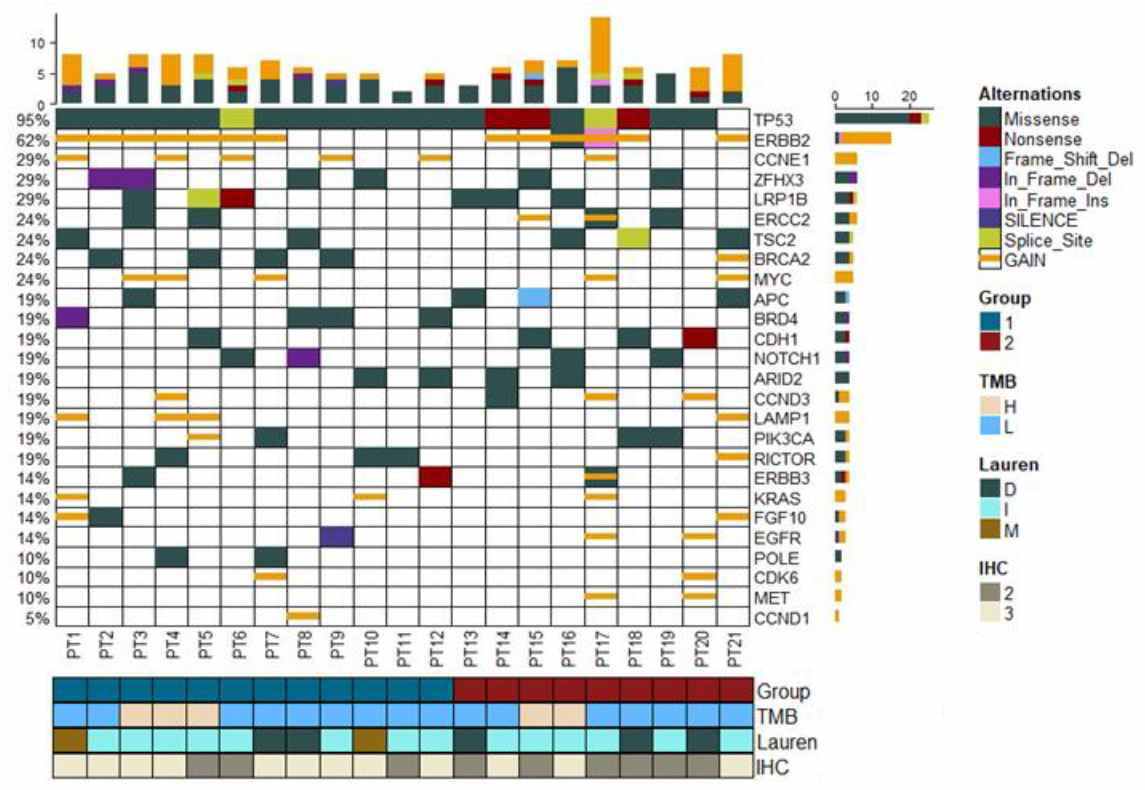 Oncoplot of targeted deep sequencing. 가장 흔하게 관찰된 유전자 변이는 TP53 mutation이며, 항암치료반응에 따라 나눈 두 군에서 유전자 변이와 copy number alteration의 차이를 보임.