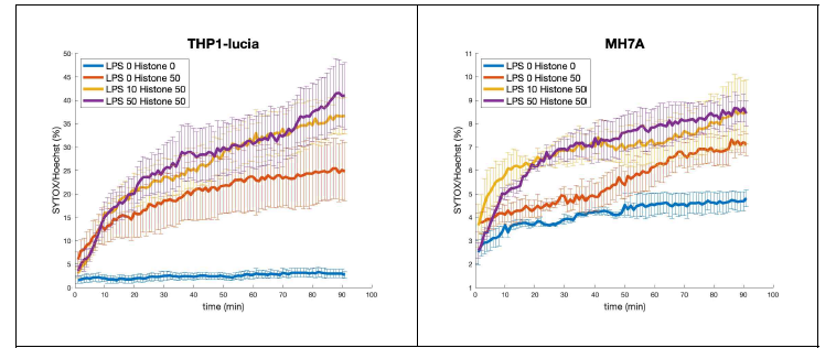 Macrophage와 synoviocyte의 histone toxicity의 비교. Cytotoxicity를 Sytox로 염색하고 high throughput microplate imager인 Operetta를 이용하여 분석함. Histone을 투여한후 time과 dose dependant하게 cytotoxicity가 증가하며 특히 macrophage에서 더 많이 발생함.