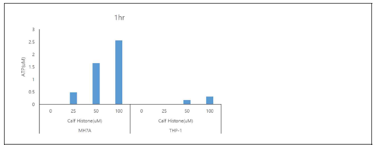 ATP production by histone. MH7A cell와 THP-1 cell에 여러 농도의 histone을 투여한 후 supernatant에서 ATP를 측정함.