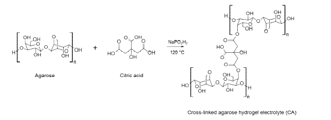 천연 고분자(agarose)기반 고분자 전해액 합성.