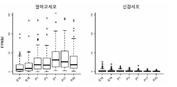 확보한 샘플에서 별아교세포와 신경세포의 마커 유전자 발현량