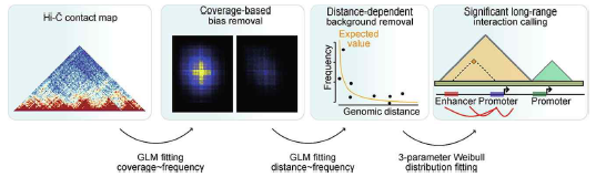covNorm의 coverage 기반 염색질 3차구조 정보 정규화 과정 모식도