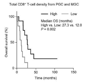 원발 위종양과 전이 종양의 CD8+ T-cell density에 따른 생존률