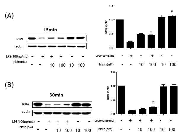 Effect of irisin on LPS-induced NF-κB signaling pathway in RAW264.7 cells. The data presented are the means ± SEM of three independent experiments, and differences between mean values were assessed by t test. # p<0.05 vs. control group; *p<0.05 vs. LPS group