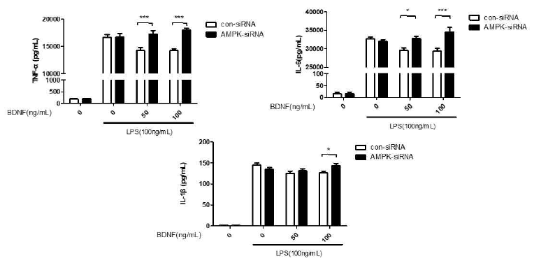 Effect of AMPK knockdown on LPS-induced pro-inflammation in of RAW264.7 cells. The data presented are the means ± SEM of three independent experiments, and differences between mean values were assessed by 2way ANOVA; *p<0.05 , ***p<0.001