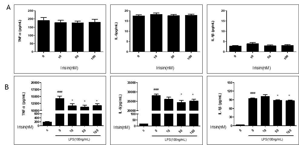 Effect of irisin on the cell viability of RAW264.7 cells (A). Levels of TNF-α, IL-6, and IL-1β in culture supernatants were measured by ELISA (B). The data presented are the means ± SEM of three independent experiments and differences between mean values were assessed by t-test. ###p <0.001 vs. control group; *p <0.05 vs. LPS group