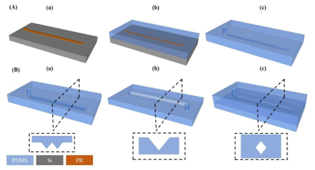 Schematic view of fabrication processes of (A) serpentine microchannel, (B) rhombic microchannel for inertial focusing