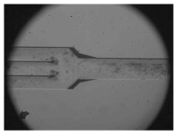 고속카메라로 촬영한 전혈 및 13 μm 입자의 혼합물 분리 실험 이미지