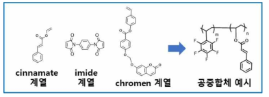 도입 예정인 모노머 구조 및 합성된 공중합체 예상 구조