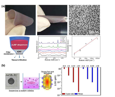 플라즈몬 AuNR를 이용한 나노셀룰로오스 기반 초고감도 SERS 기판 제작 (a) AuNPs (b) AuNRs