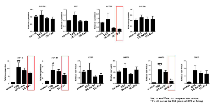 UC-exosome 투여 시 DSS 투여 군(섬유화 군)에 비해 fibrosis marker 및 섬유화/염증 관련 마커의 감소경향 확인 (COL1A1, FN1, ACTA2, TNFa, TGFb1, MMP9)