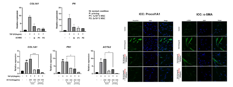 염증 사이토카인 전처치 (priming)를 통한 탯줄 줄기세포 시크리톰의 항섬유화 효과 증강. cytokine cocktail priming 된 탯줄 줄기 세포 또는 탯줄 줄기세포 엑소좀 포함 분비체를 투여한 HIMF에서 섬유화 마커 감소가 증가함을 확인
