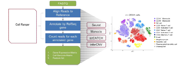 Single-Cell Sequencing 기반의 데이터 프로세스 과정