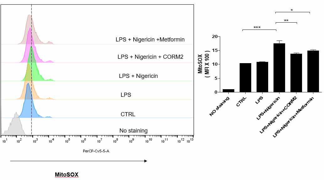CORM2 혹은 metformin에 따른 NLRP3에 의한 mtROS생성억제