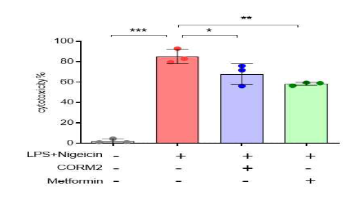 CO or metformin inhibits inflammasome-induced cytotoxicity