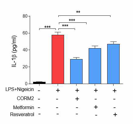 CO, Metformin or Resveratrol inhibits NLRP3-induced IL-1β production