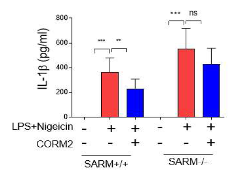Suppression of IL-1β production by CO requires SARM1