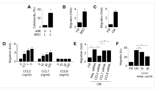 MSCs와 activated NK cells 간의 migration 기전