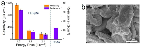 프린터블 니켈 집전체의 광소성 후 (a) 비저항 변화 및 (b) SEM 이미지