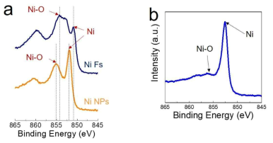 (a)니켈 플레이크 (Ni Fs) 및 나노입자 (Ni NPs)의 XPS 스펙트럼; (b) 프린터블 니켈 집전체의 광소성 후 XPS 스펙트럼