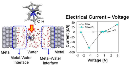 센서 내 금속-물 계면에서 바이오마커의 특징적 전기신호 도출 원리 규명