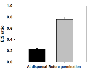E : S ratio at dispersal and before germination of C. palustris. Error bars indicate mean ± SE of ten replicates.