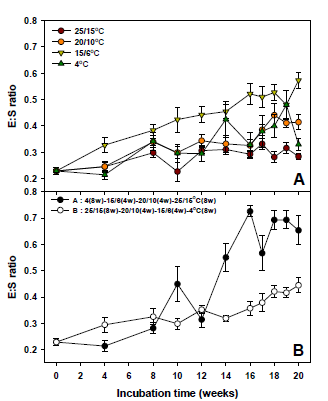 E : S ratio in seeds of C. palustris in response to a four temperature regimes (a) and under a temperature sequence (b) beginning at 4℃ or at 25/15℃. Error bars indicate mean ± SE of ten replicates