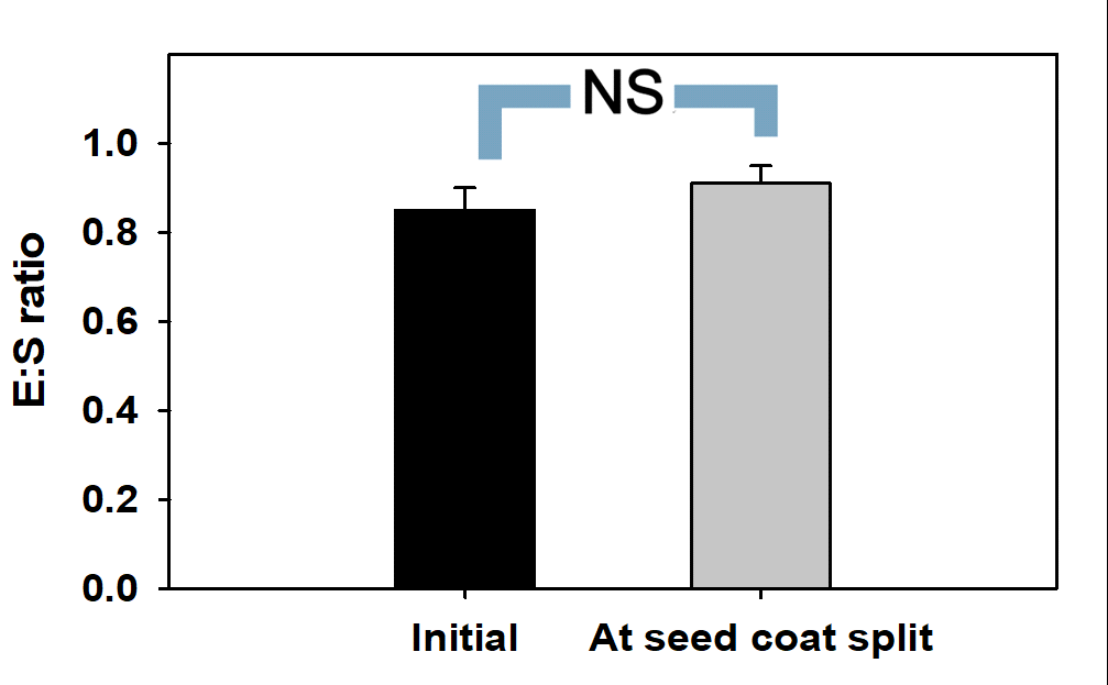 Embryo : seed length ratio (E:S ratio) at initial stage and seed coat split stage of V. sibiricum