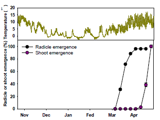 Phenology of radicle emergence and shoot emergence of T. macropoda seeds