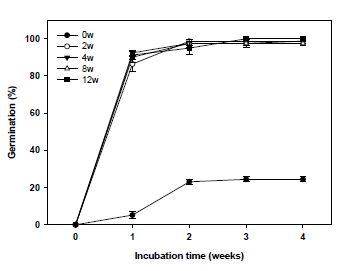Germination of I. setosa seeds as affected by cold stratification periods (0, 2, 4, 8, or 12 weeks at 5℃). Seeds were incubated at 25/15℃