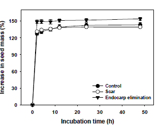 Water uptake of endocarp elimination and scartification treatments by seeds of P. maackii incubated at room temperatures (22~26oC) on filter paper moistened with distilled water for 0-48h