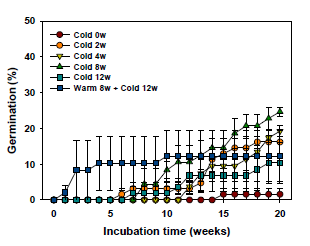 Germination of P. maackii seeds as affected by cold stratification period (0, 2, 4, 8 and weeks) and warm after cold stratification (8 + 12 weeks). Error bars indicate mean of ± SE of three replicates
