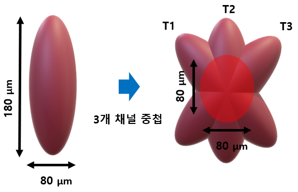 다채널 초점 중첩 모식