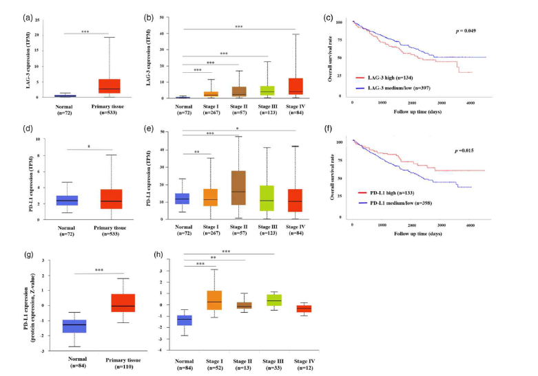 Expression of LAG-3 and PD-L1 in ccRCC patients using UALCAN. mRNA levels of LAG-3, (a) and PD-L1, (d) in ccRCC tissues and adjacent normal renal tissues. LAG-3 (b) and PD-L1, (e) mRNA expression in normal tissues and ccRCC tissues according to tumor stage. Kaplan-Meier survival curves of patients with ccRCC according to LAG-3, (c) or PD-L1, (f) mRNA expression. PD-L1 protein expression in ccRCC tissues and normal renal tissues (g), and PD-L1 protein expression in normal tissues and ccRCC tissues differing in tumor stage, (h) Data are mean ± SE ***p < 0.001, **p < 0.01, *p < 0.05 from respective expression of normal tissue. TPM: Transcript per million.