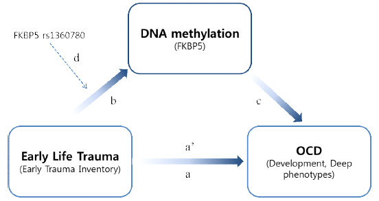 강박장애 표현형에 대한 생애초기 트라우마-유전자 상호작용의 매개요인으로서의 FKBP5 메틸화 역할 규명 가설