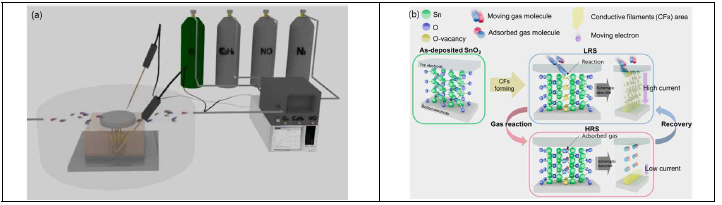 (a) Gasistor 소자 가스 센싱을 위한 장비 셋업 및 (b) 가스 센싱 메커니즘 연구
