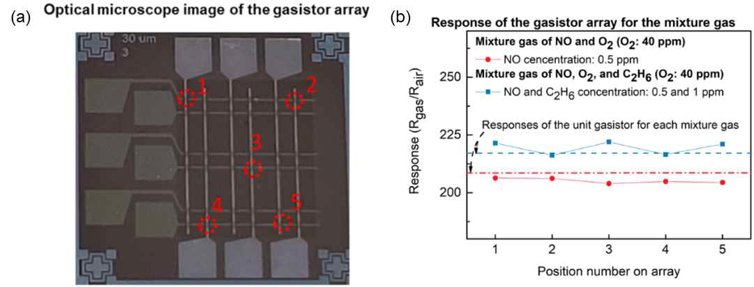 (a) 다종가스 감지를 위한 어레이 구조 gasistor 이미지, (b) 다종가스 분위기에서의 검출 특성