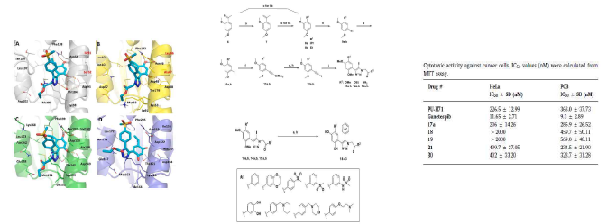 Resorcinol 골격의 TRAP1 NTD 저해제 개발. (Bioorg. Med. Chem. Lett. 2020)