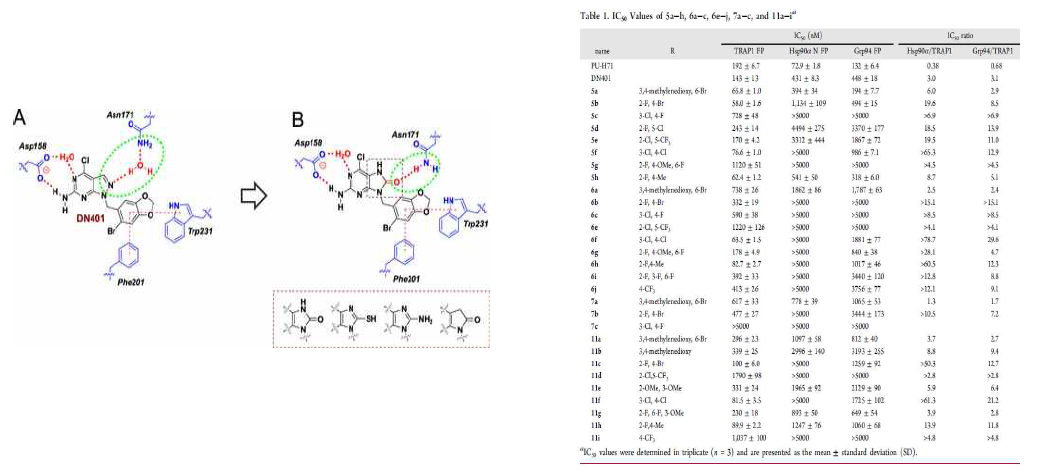 미토콘드리아 TRAP1 Asn171의 잔기가 선택적 저해제 개발에 유용함. (ACS Med. Chem. Lett. 2021)