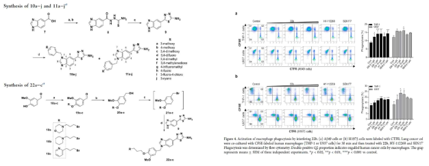 도출된 isoglutaminyl cyclase 저해제는 phygocytosis를 증가시키는 면역항암제. (ACS Med. Chem. Lett. 2022)