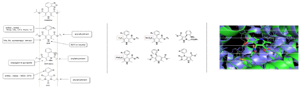 구조기반 약물 설계 및 pharmacophore 배열