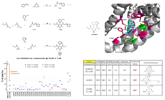 DHP 및 DHP 유도체 라이브러리 구축 및 LTCC CaV 구조-활성 상관관계 확인