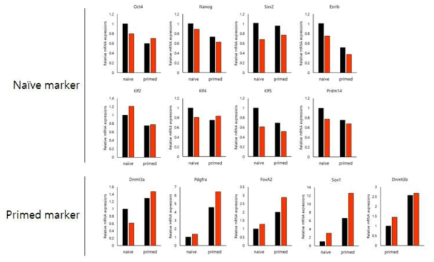 SC001(Dap**) 유전자 소실에 의한 naive 및 primed 상태 관련 인자의 발현 변화